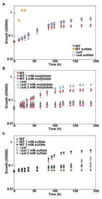 Novel Mode of Molybdate Inhibition of Desulfovibrio vulgaris Hildenborough